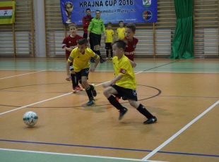 Turniej Krajna Cup 2016 (8)